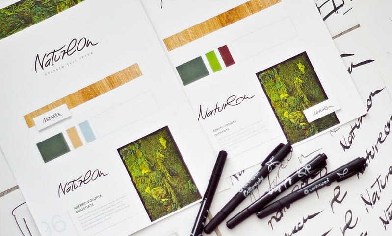 Natureon Corporate identity